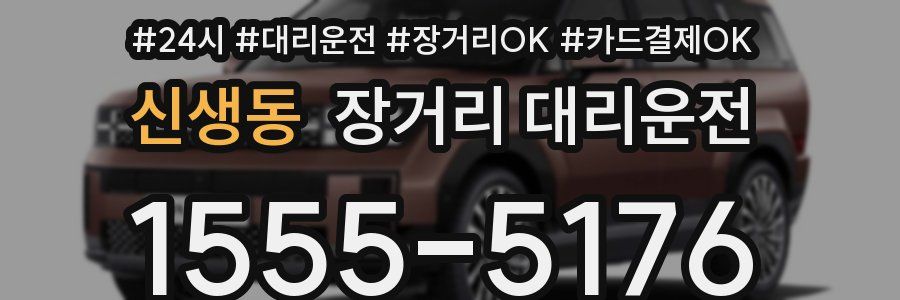 신생동 장거리 대리운전