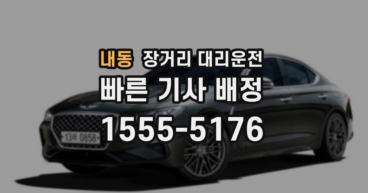 내동 장거리 대리운전