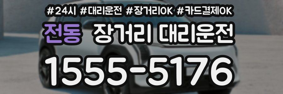 전동 장거리 대리운전