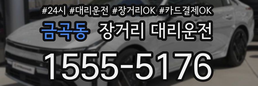 금곡동 장거리 대리운전
