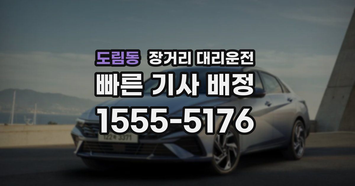 도림동 장거리 대리운전