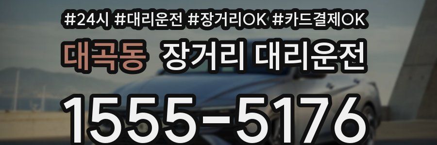 대곡동 장거리 대리운전