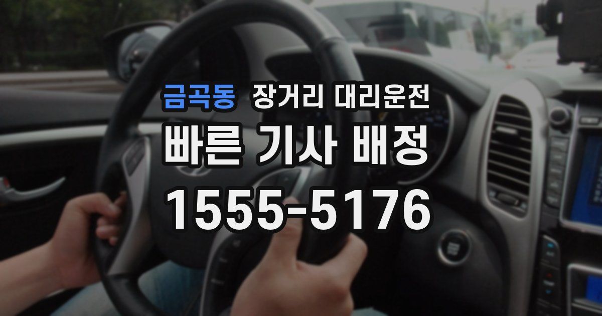 금곡동 장거리 대리운전