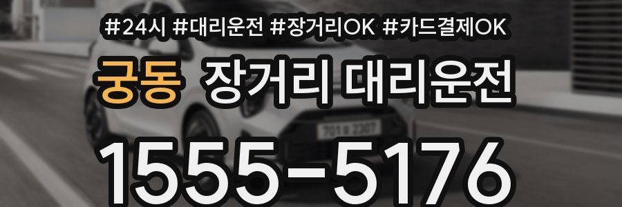 궁동 장거리 대리운전