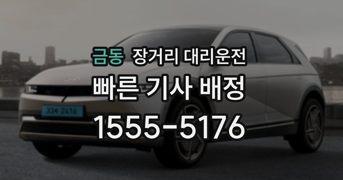 금동 장거리 대리운전