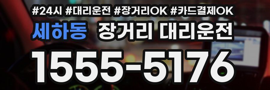 세하동 장거리 대리운전