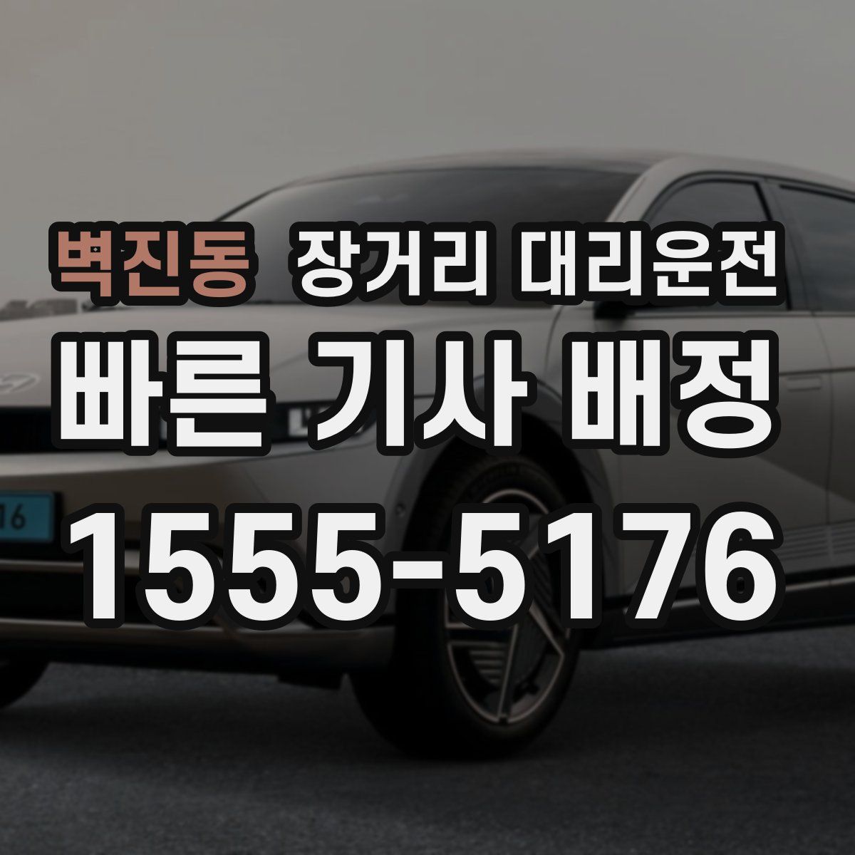 벽진동 장거리 대리운전