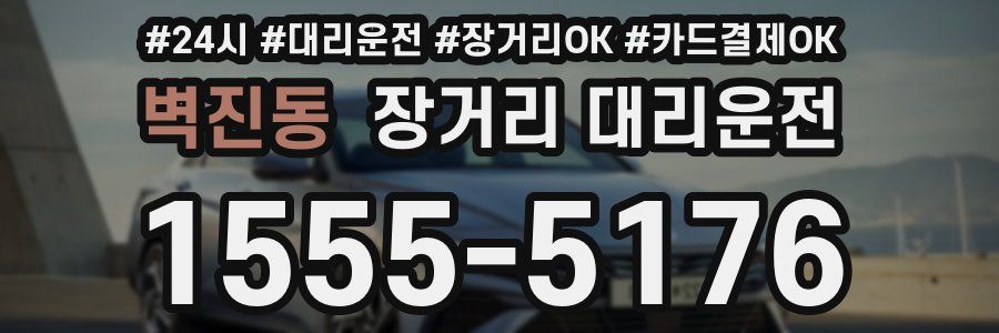 벽진동 장거리 대리운전