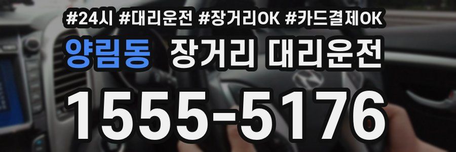 양림동 장거리 대리운전