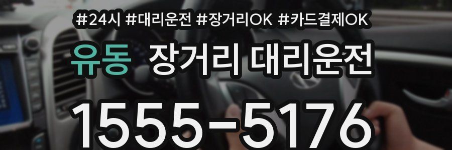 유동 장거리 대리운전