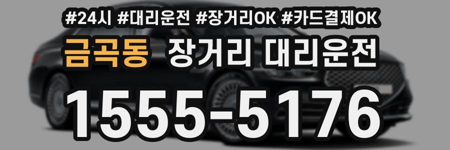 금곡동 장거리 대리운전