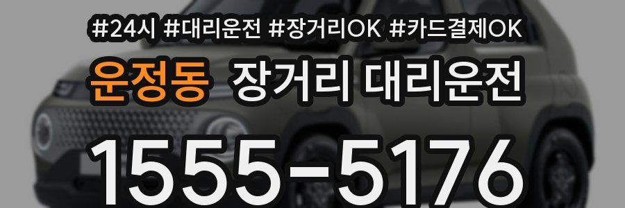 운정동 장거리 대리운전
