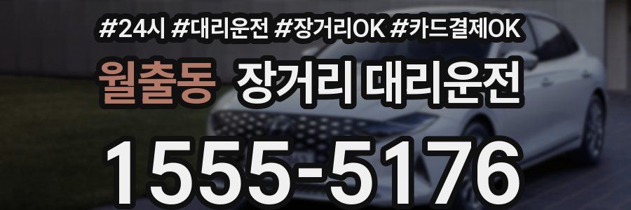 월출동 장거리 대리운전