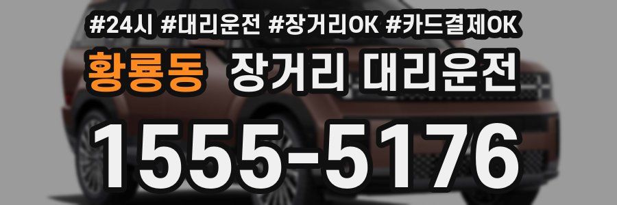 황룡동 장거리 대리운전