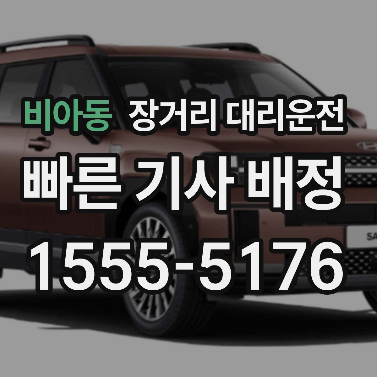 비아동 장거리 대리운전