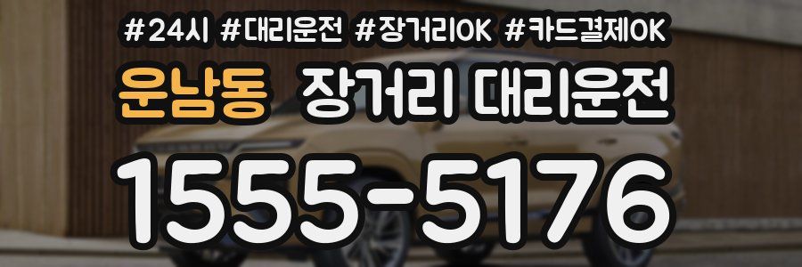 운남동 장거리 대리운전