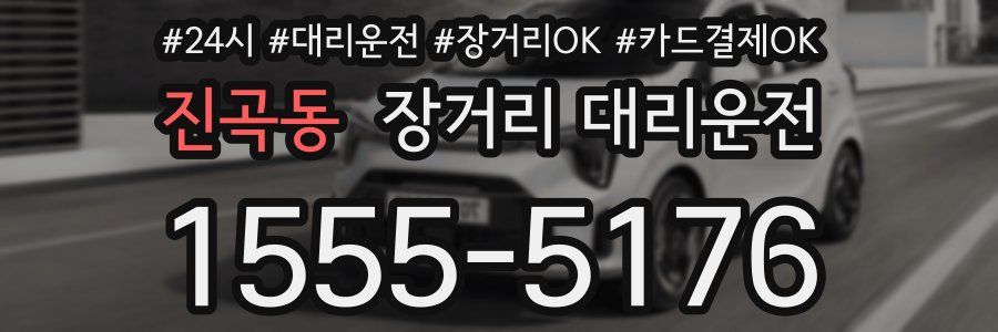 진곡동 장거리 대리운전