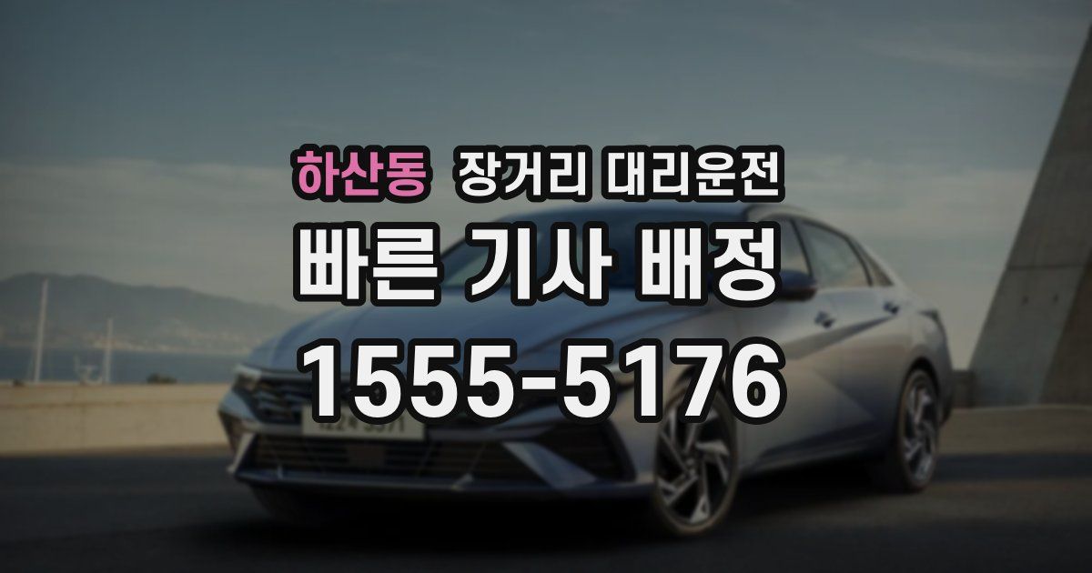 하산동 장거리 대리운전
