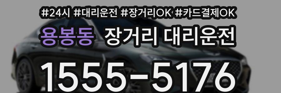 용봉동 장거리 대리운전