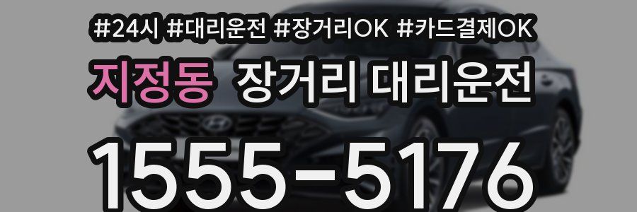 지정동 장거리 대리운전