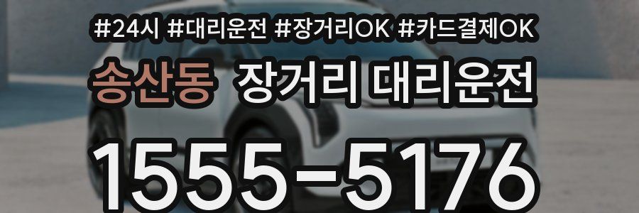 송산동 장거리 대리운전