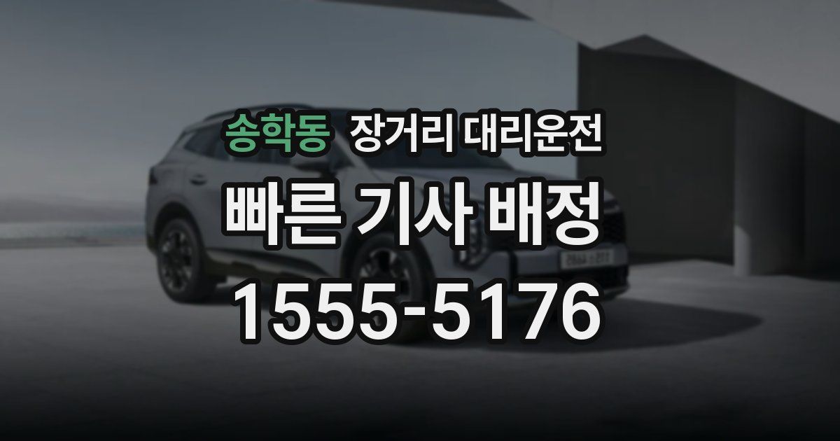 송학동 장거리 대리운전