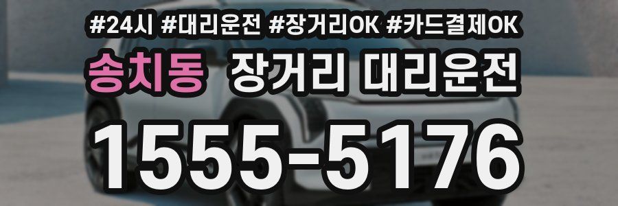 송치동 장거리 대리운전