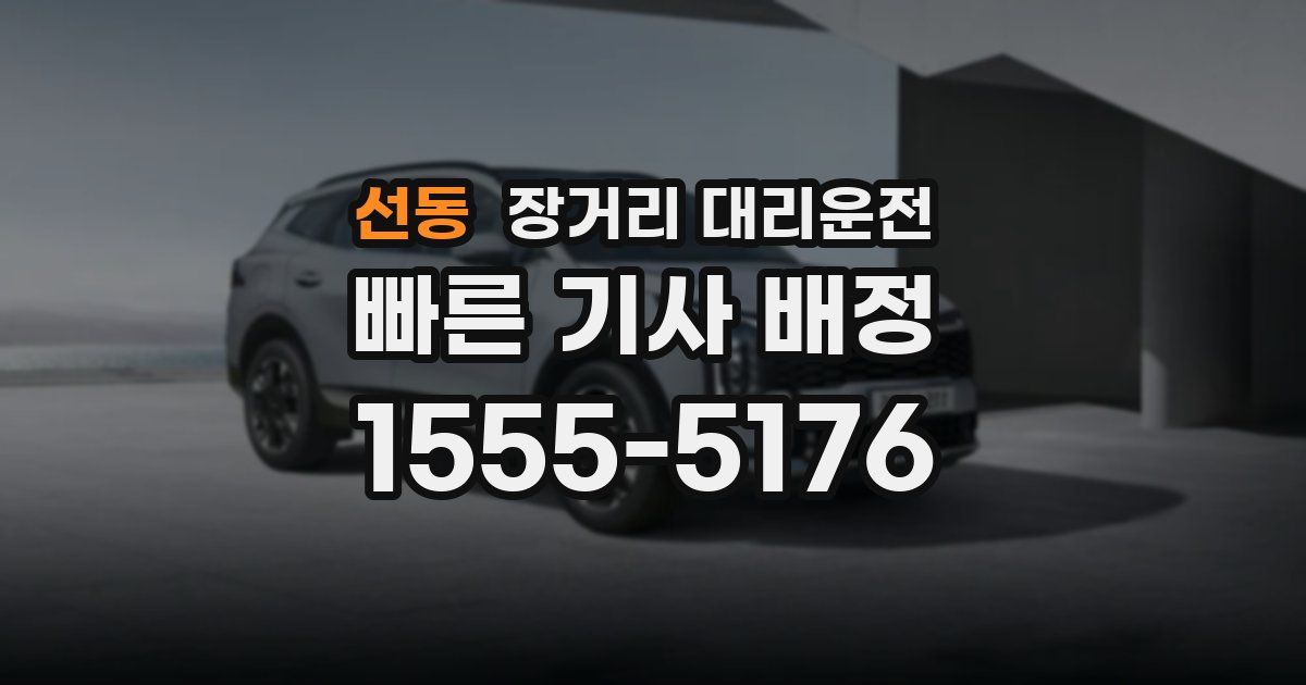 선동 장거리 대리운전