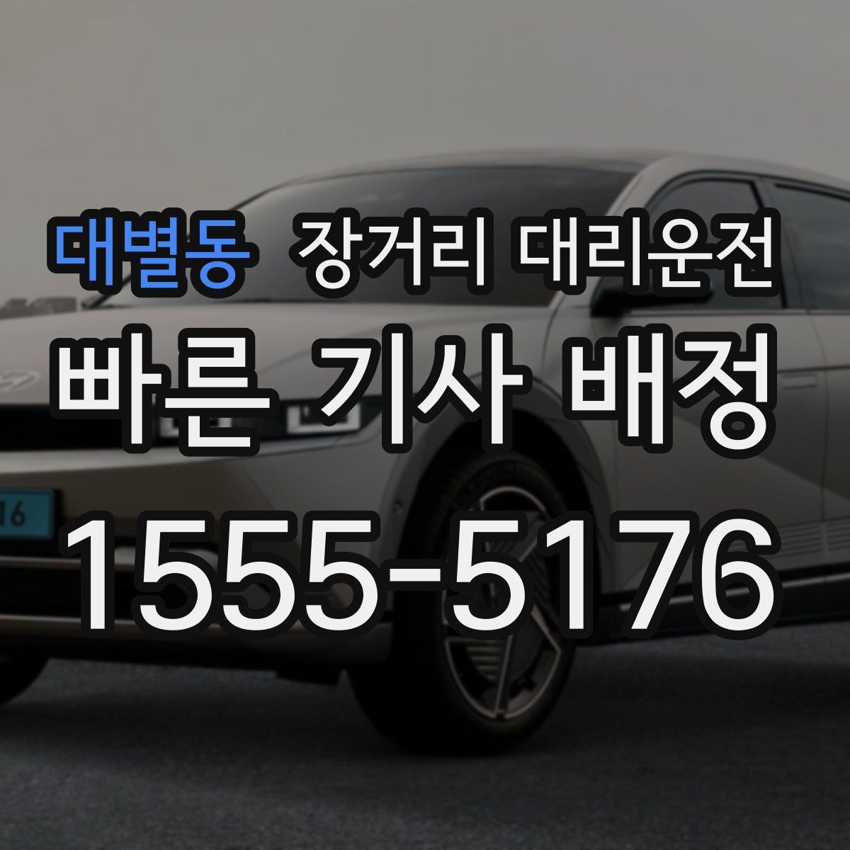 대별동 장거리 대리운전