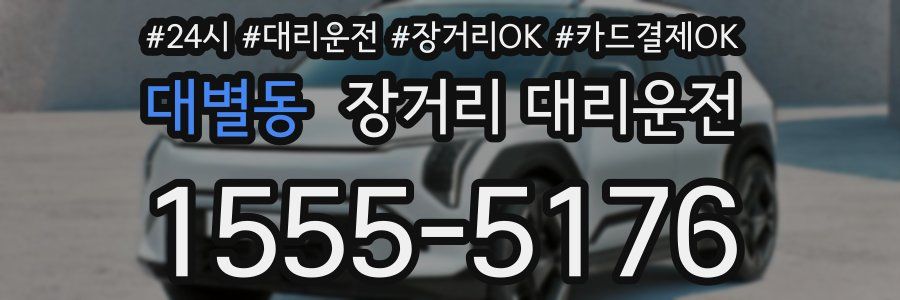 대별동 장거리 대리운전