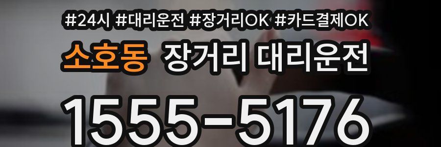 소호동 장거리 대리운전