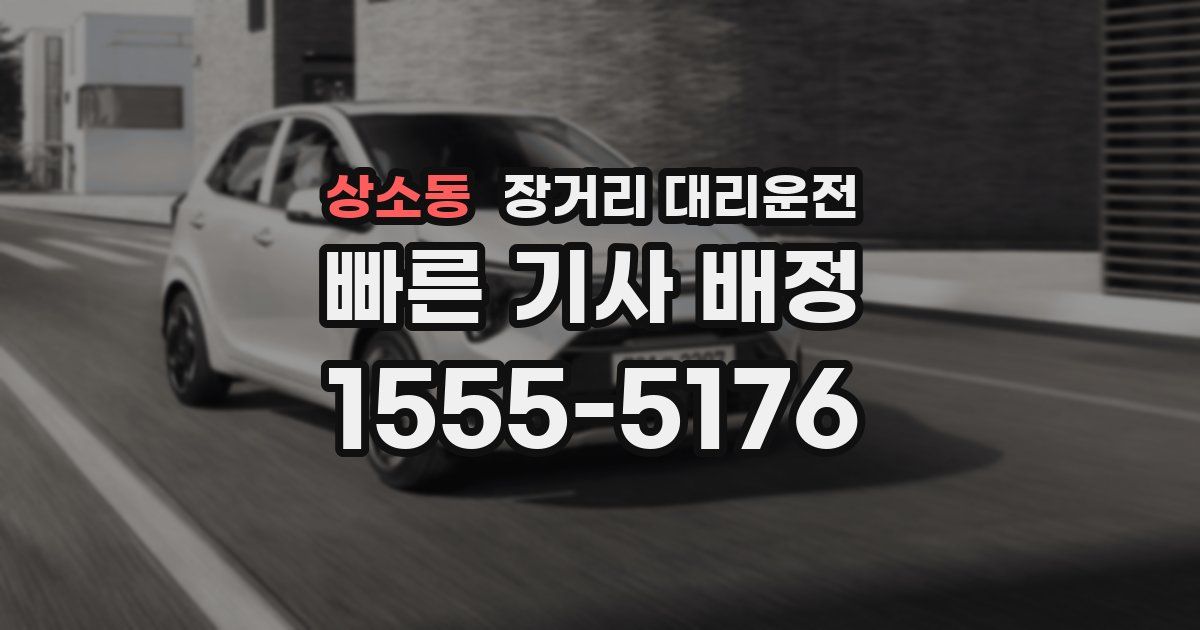 상소동 장거리 대리운전