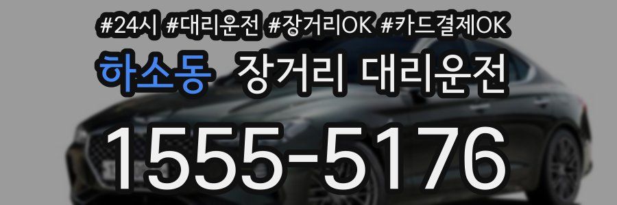 하소동 장거리 대리운전