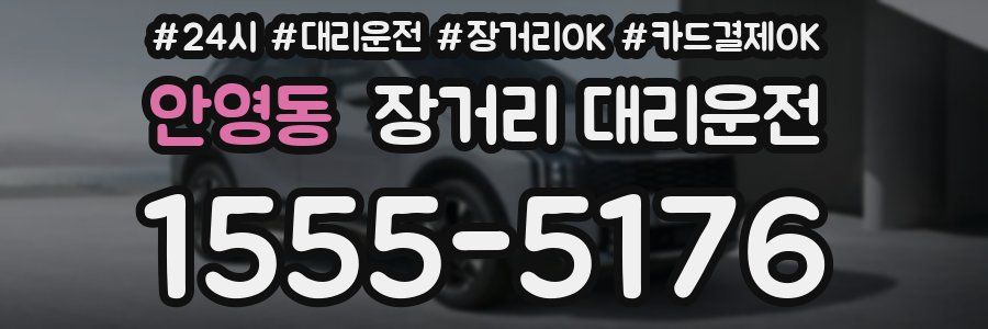 안영동 장거리 대리운전