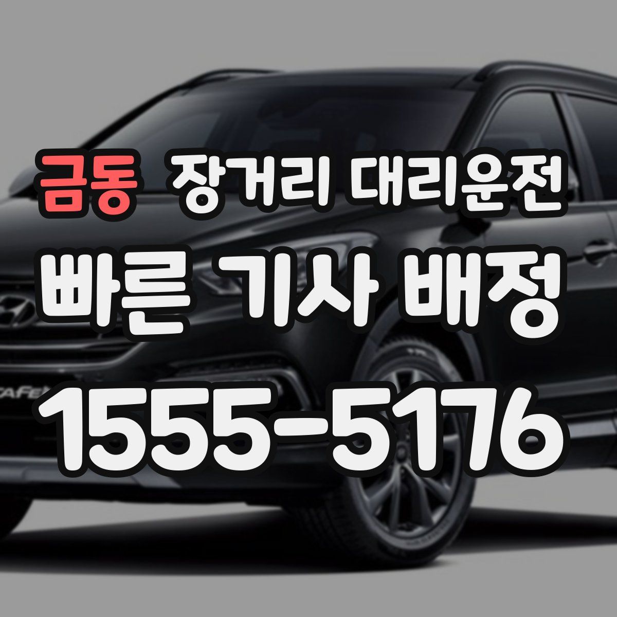 금동 장거리 대리운전