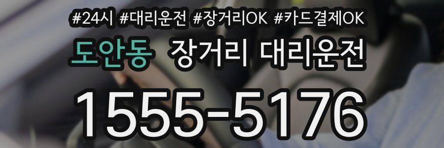 도안동 장거리 대리운전