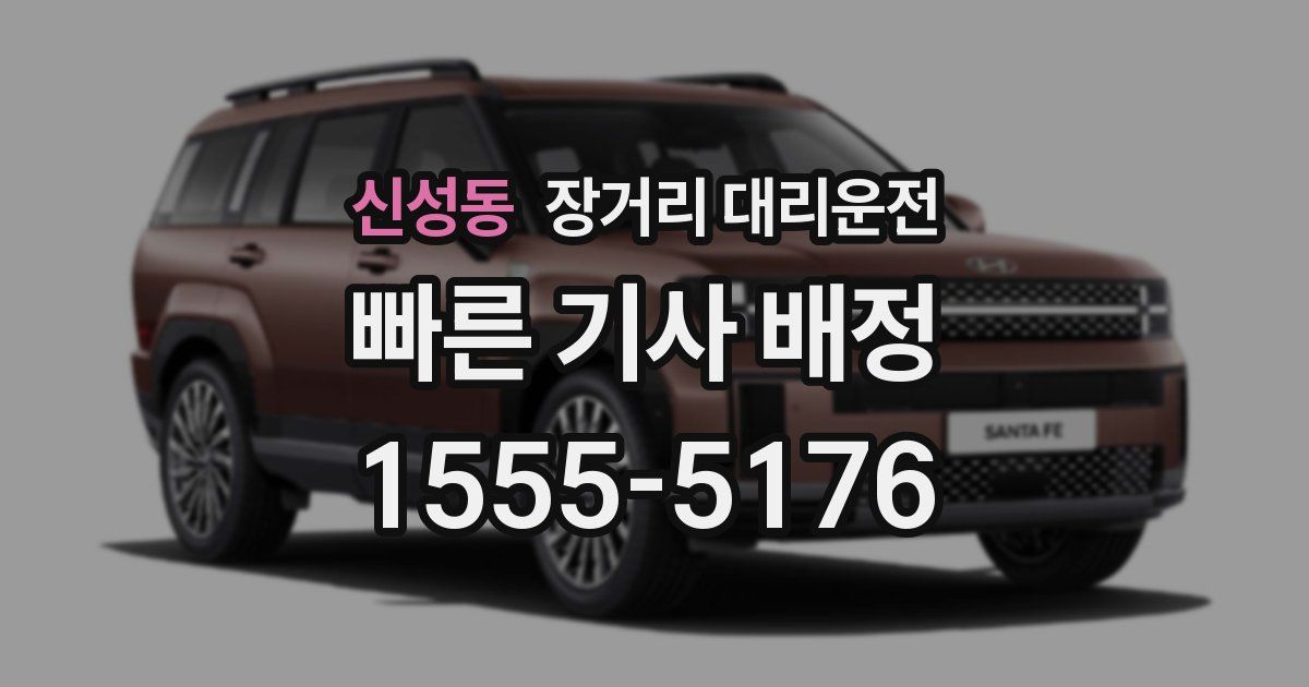 신성동 장거리 대리운전