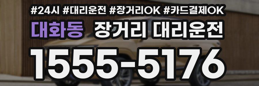 대화동 장거리 대리운전