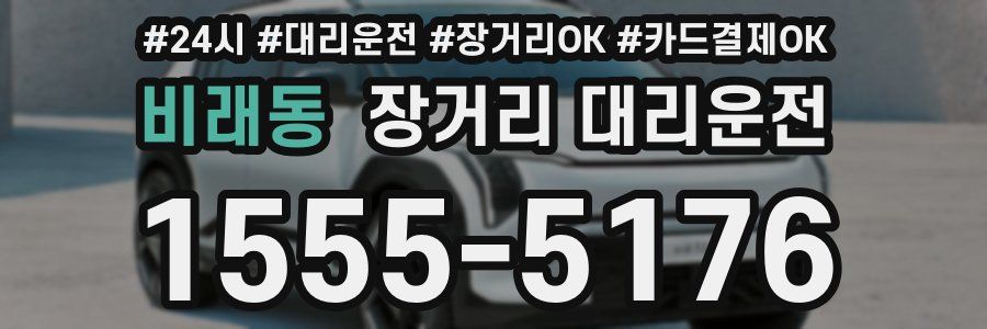 비래동 장거리 대리운전