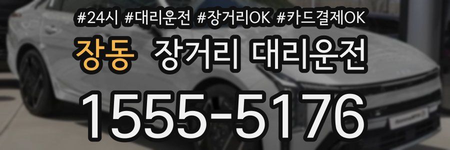 장동 장거리 대리운전