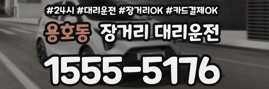 용호동 장거리 대리운전