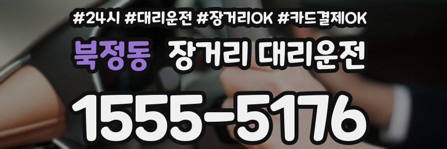북정동 장거리 대리운전