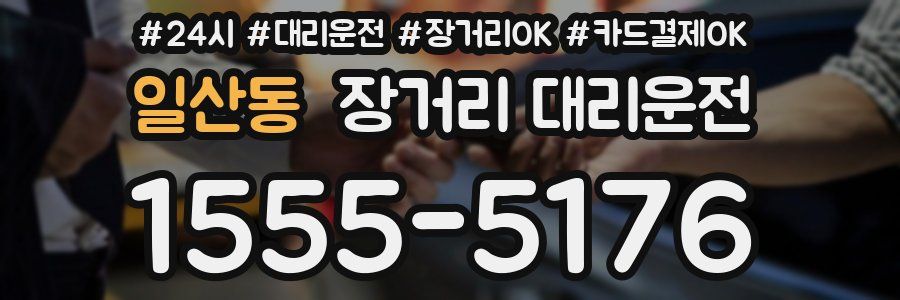 일산동 장거리 대리운전