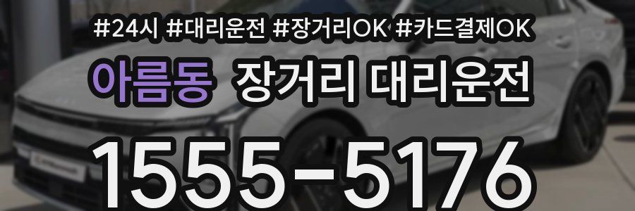 아름동 장거리 대리운전