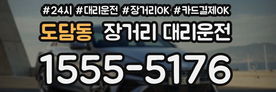 도담동 장거리 대리운전