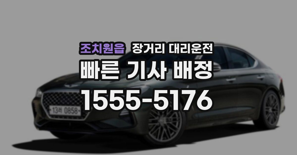 조치원읍 장거리 대리운전