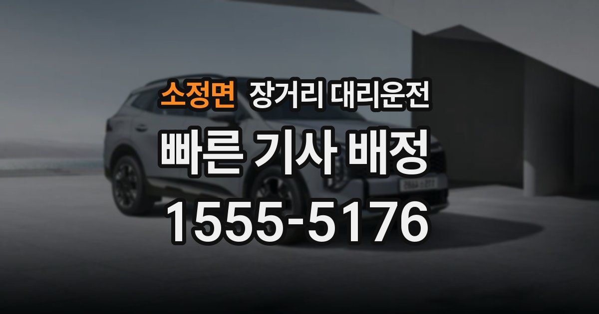 소정면 장거리 대리운전