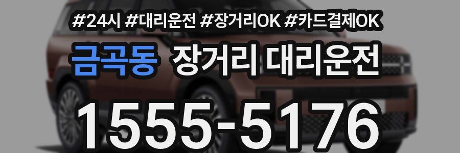 금곡동 장거리 대리운전