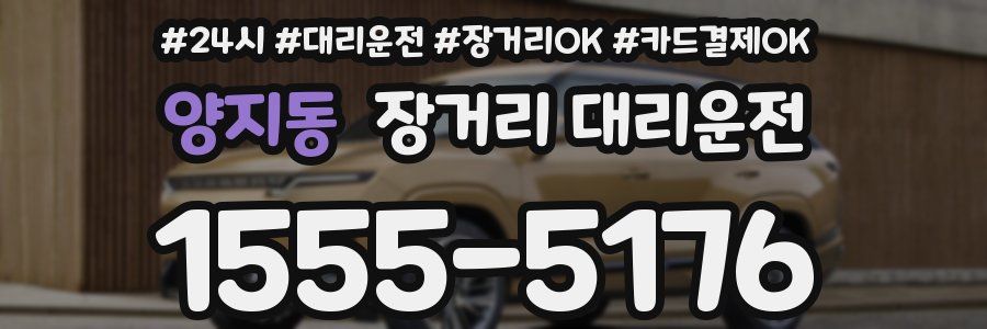 양지동 장거리 대리운전