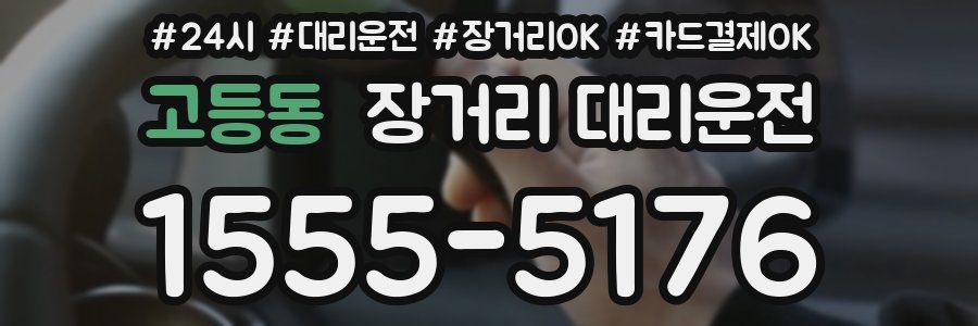 고등동 장거리 대리운전